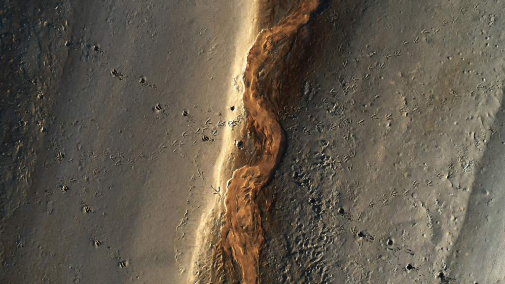 NASA 